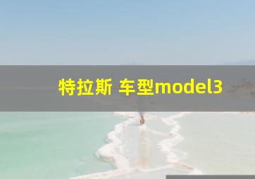 特拉斯 车型model3